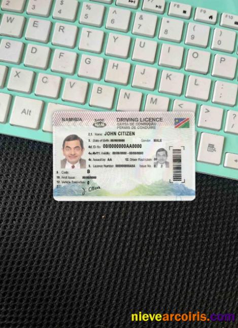 Namibia driving license  photolook